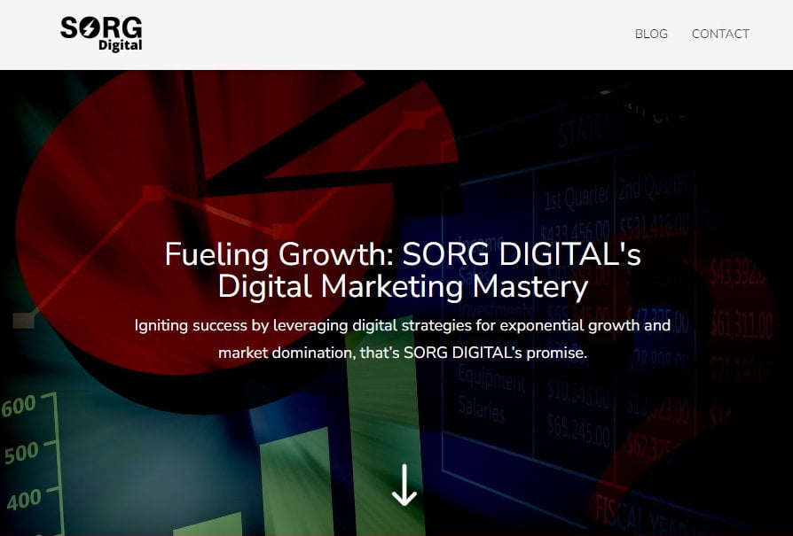 Sorg Digital Website